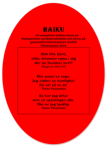 haikuframsida